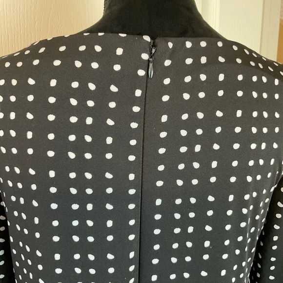 TAHARI Lavine Studio Polka Dot Shift Dress - Picture 4 of 9